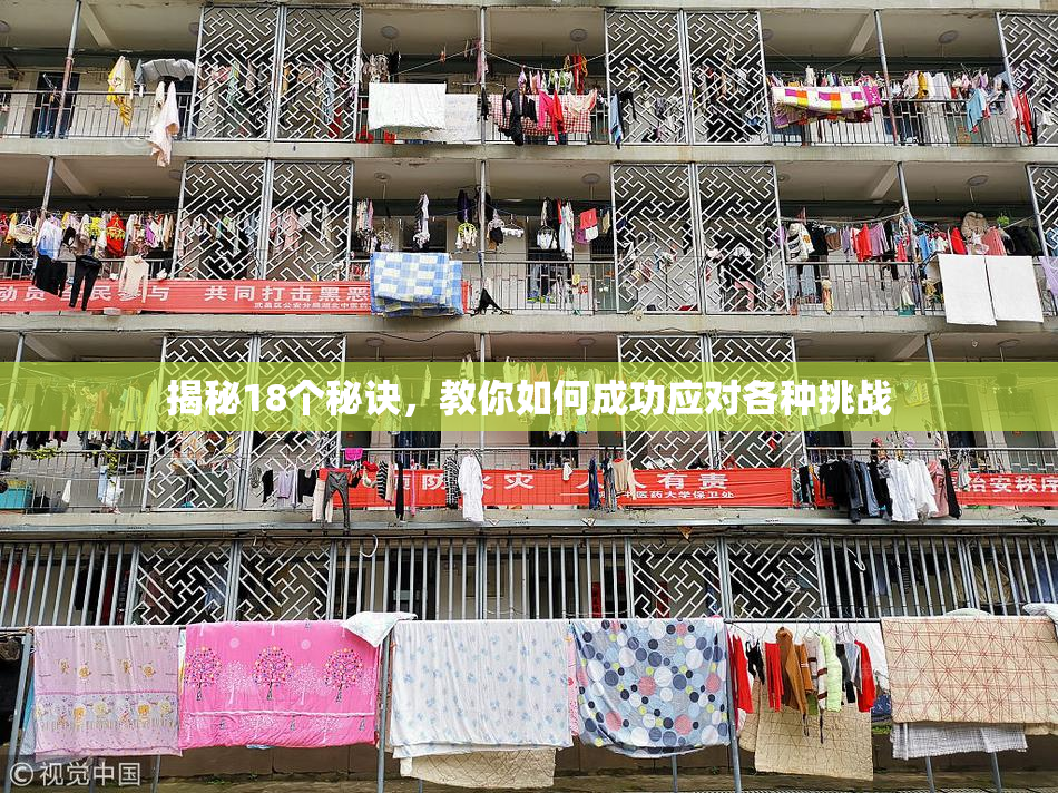 揭秘18个秘诀，教你如何成功应对各种挑战