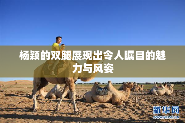 杨颖的双腿展现出令人瞩目的魅力与风姿