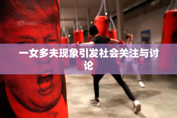 一女多夫现象引发社会关注与讨论