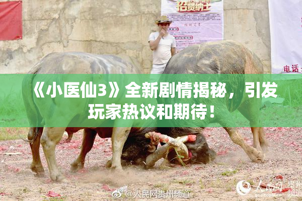 《小医仙3》全新剧情揭秘，引发玩家热议和期待！
