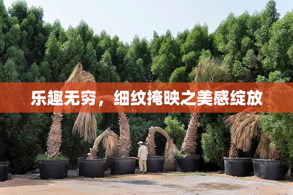 乐趣无穷，细纹掩映之美感绽放