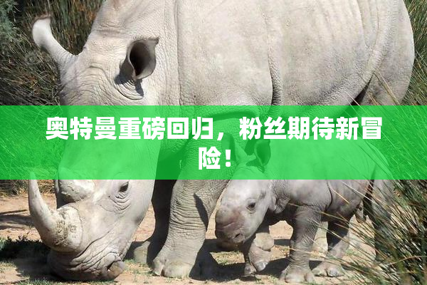 奥特曼重磅回归，粉丝期待新冒险！