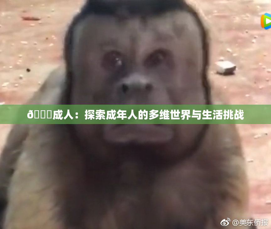 🔞成人：探索成年人的多维世界与生活挑战