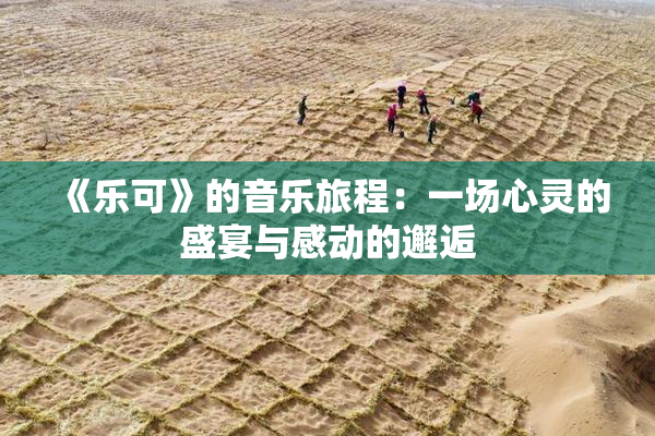 《乐可》的音乐旅程：一场心灵的盛宴与感动的邂逅