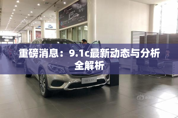 重磅消息：9.1c最新动态与分析全解析