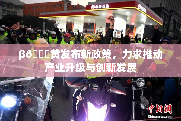 β🔞黄发布新政策，力求推动产业升级与创新发展