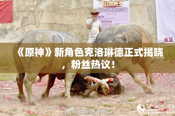《原神》新角色克洛琳德正式揭晓，粉丝热议！