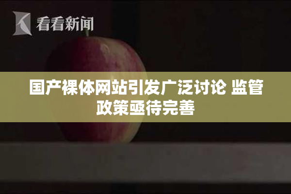 国产裸体网站引发广泛讨论 监管政策亟待完善