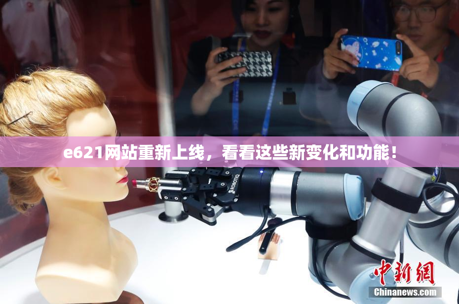 e621网站重新上线，看看这些新变化和功能！