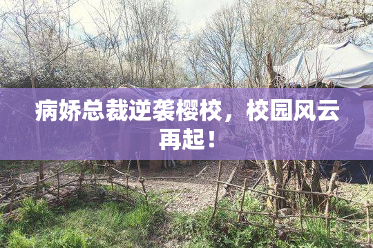 病娇总裁逆袭樱校，校园风云再起！