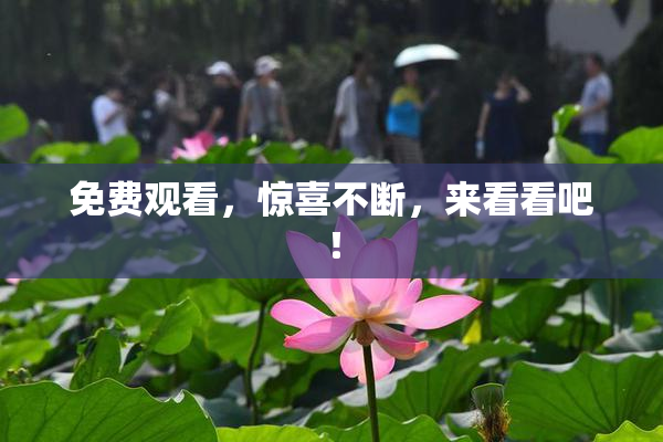 免费观看，惊喜不断，来看看吧！
