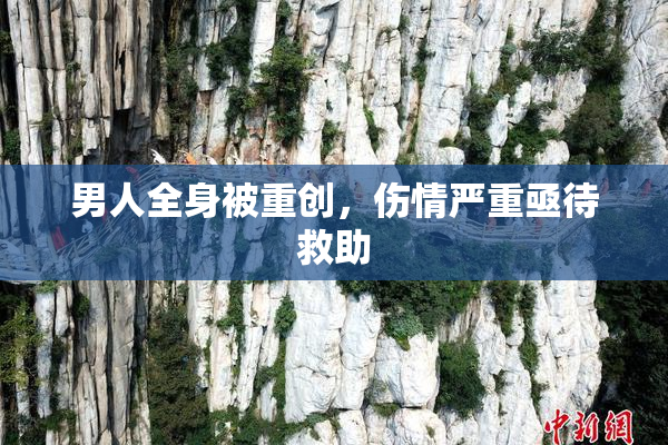 男人全身被重创，伤情严重亟待救助