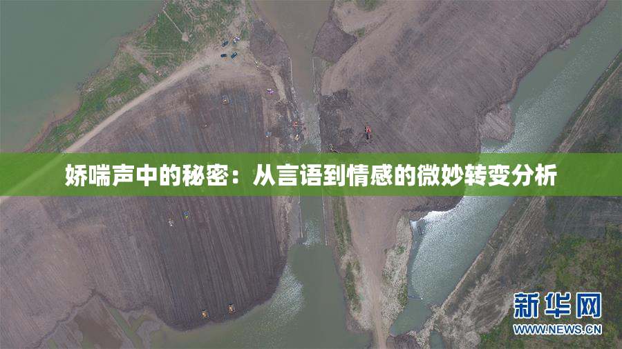 娇喘声中的秘密：从言语到情感的微妙转变分析
