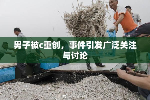 男子被c重创，事件引发广泛关注与讨论