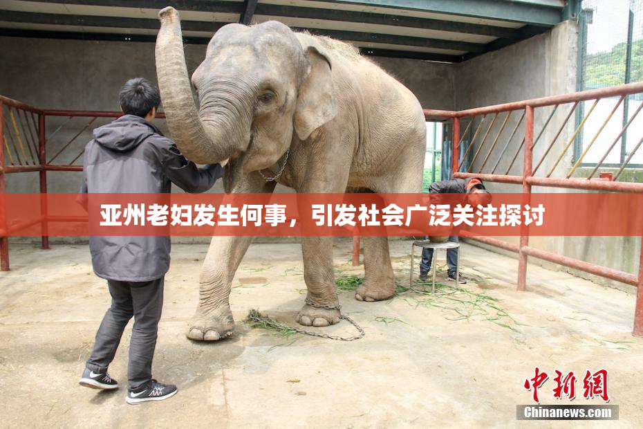 亚州老妇发生何事，引发社会广泛关注探讨