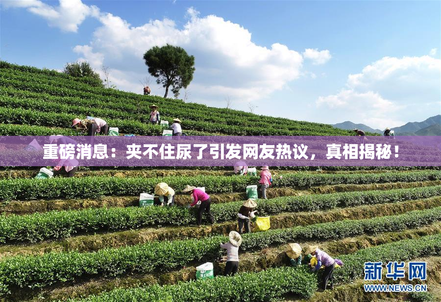 重磅消息：夹不住尿了引发网友热议，真相揭秘！
