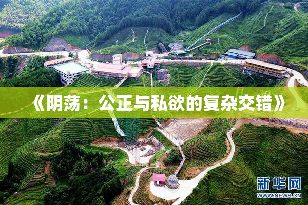《阴荡：公正与私欲的复杂交错》