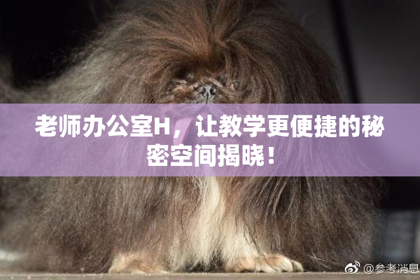 老师办公室H，让教学更便捷的秘密空间揭晓！