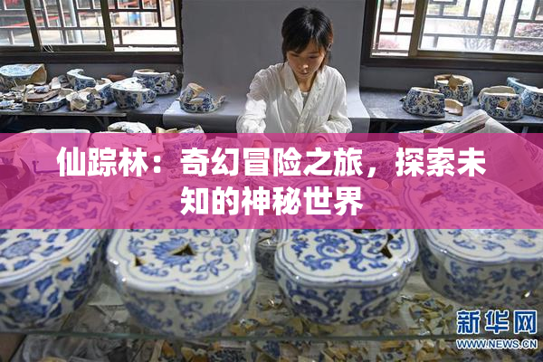 仙踪林：奇幻冒险之旅，探索未知的神秘世界