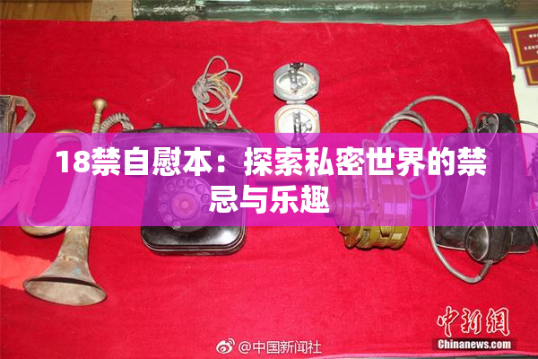 18禁自慰本：探索私密世界的禁忌与乐趣