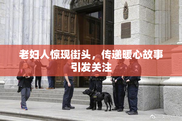 老妇人惊现街头，传递暖心故事引发关注