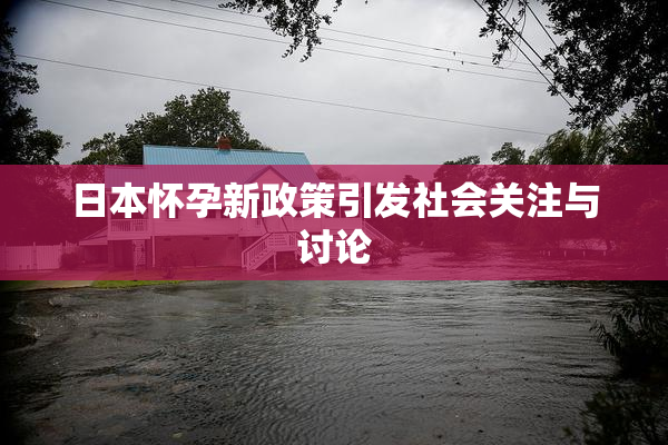 日本怀孕新政策引发社会关注与讨论