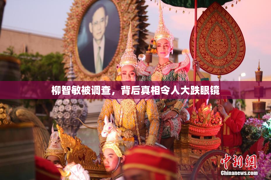 柳智敏被调查，背后真相令人大跌眼镜