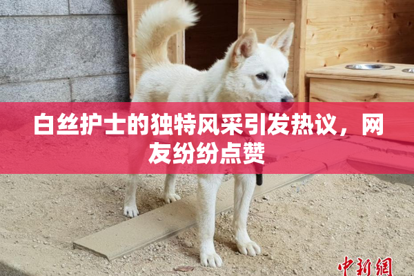 白丝护士的独特风采引发热议，网友纷纷点赞