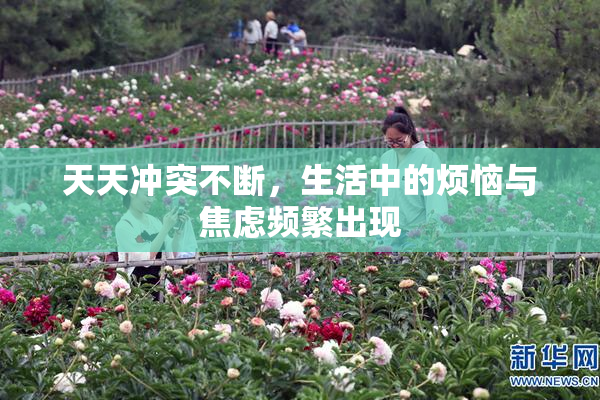 天天冲突不断，生活中的烦恼与焦虑频繁出现