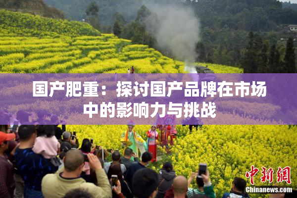 国产肥重：探讨国产品牌在市场中的影响力与挑战