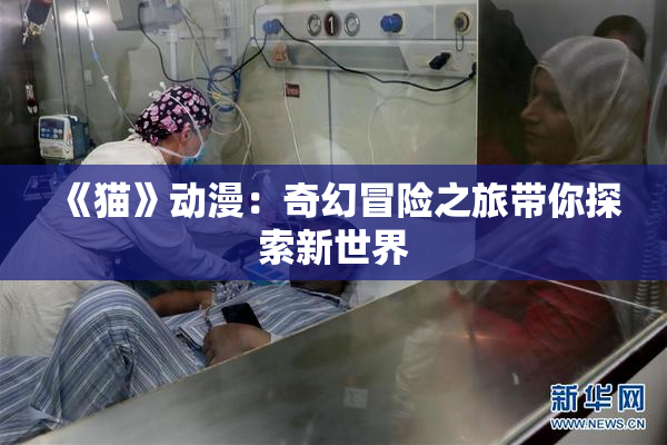 《猫》动漫：奇幻冒险之旅带你探索新世界