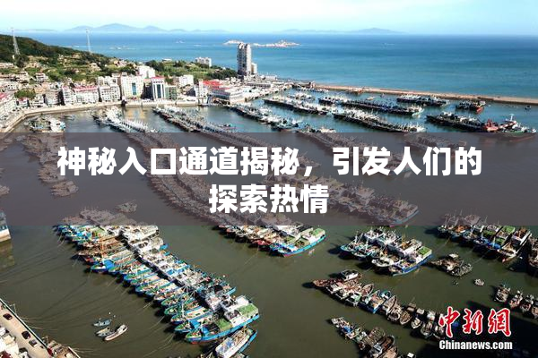神秘入口通道揭秘，引发人们的探索热情