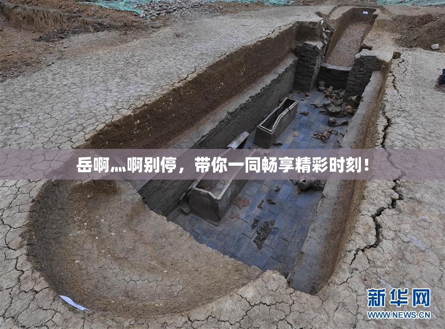 岳啊灬啊别停，带你一同畅享精彩时刻！