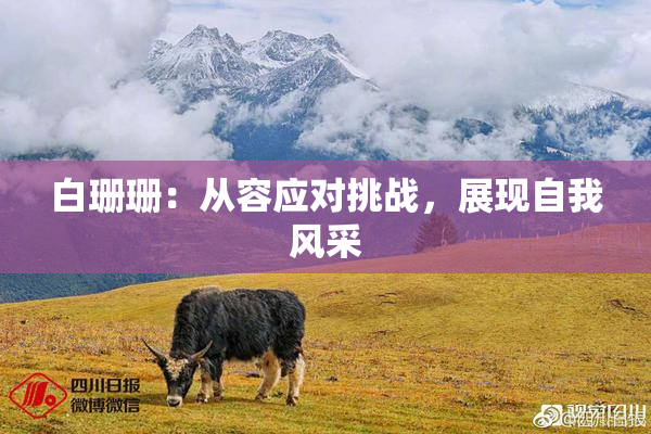白珊珊：从容应对挑战，展现自我风采