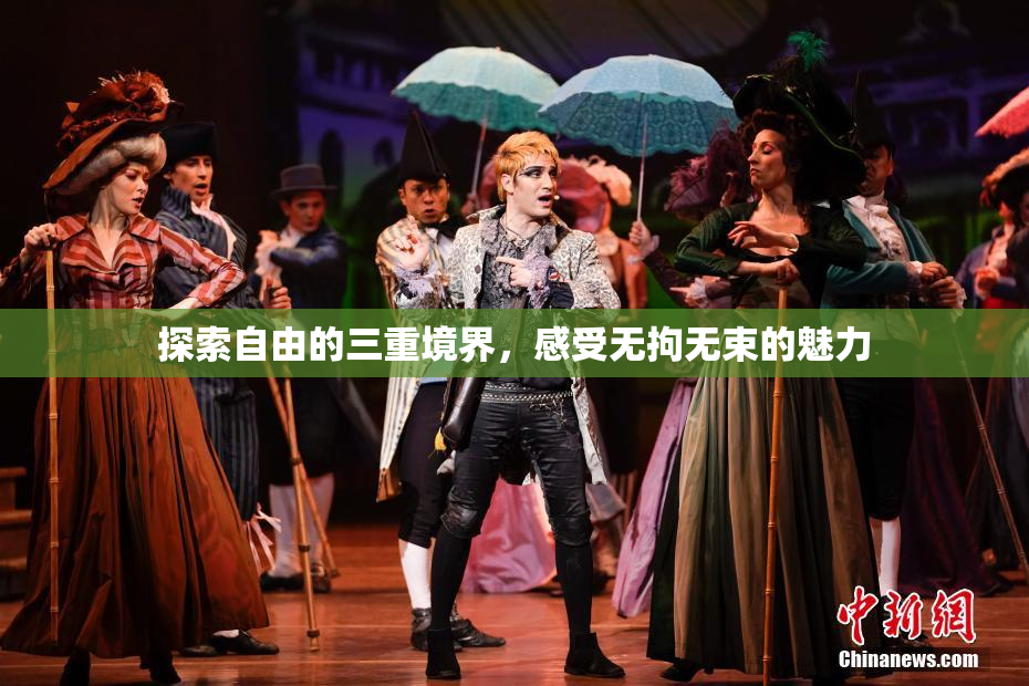 探索自由的三重境界，感受无拘无束的魅力