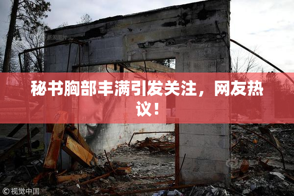 秘书胸部丰满引发关注，网友热议！