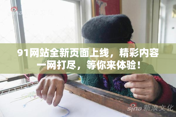 91网站全新页面上线，精彩内容一网打尽，等你来体验！