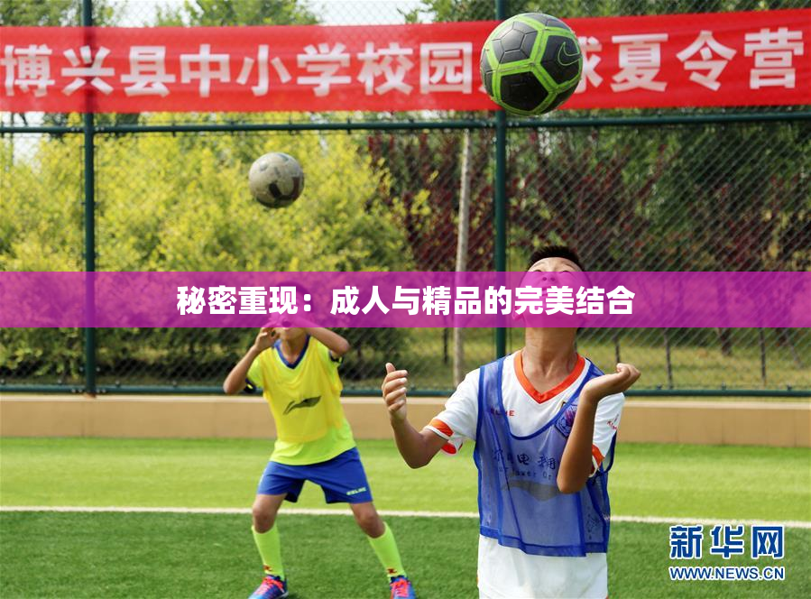 秘密重现：成人与精品的完美结合
