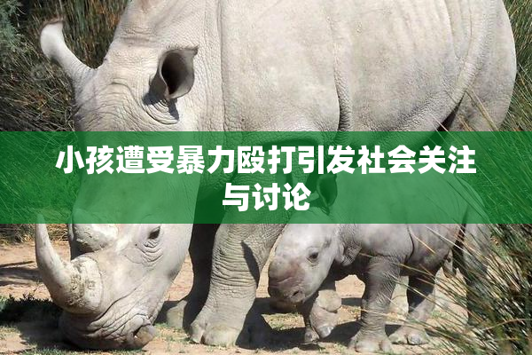 小孩遭受暴力殴打引发社会关注与讨论