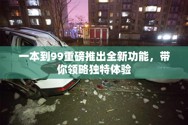 一本到99重磅推出全新功能，带你领略独特体验