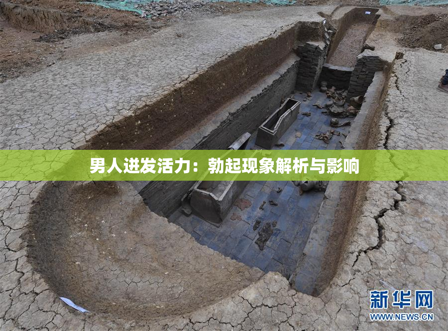 男人迸发活力：勃起现象解析与影响