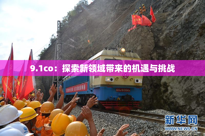 9.1co：探索新领域带来的机遇与挑战