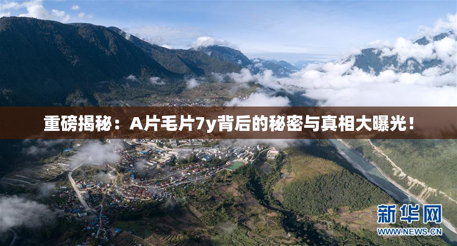 重磅揭秘：A片毛片7y背后的秘密与真相大曝光！