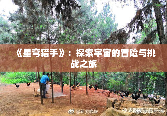 《星穹猎手》：探索宇宙的冒险与挑战之旅