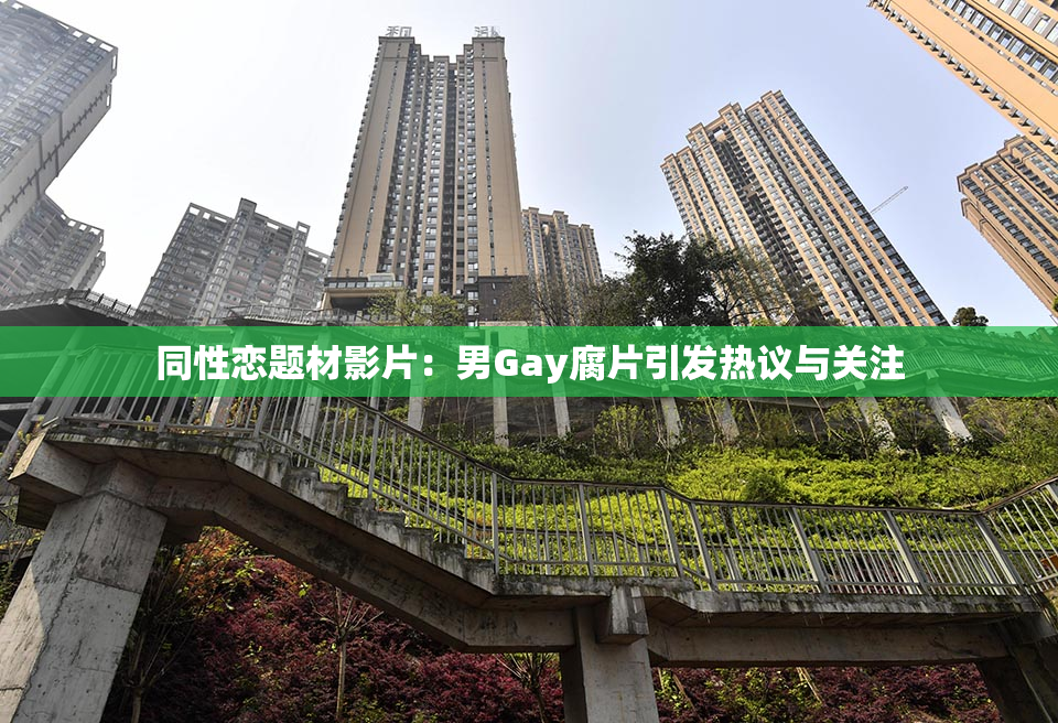 同性恋题材影片：男Gay腐片引发热议与关注