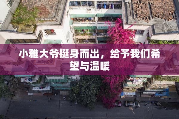 小雅大爷挺身而出，给予我们希望与温暖