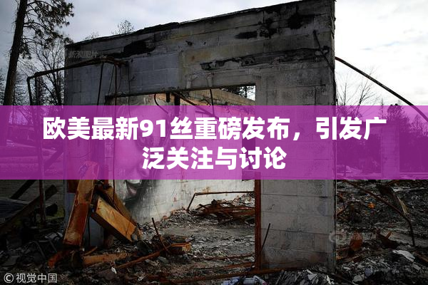 欧美最新91丝重磅发布，引发广泛关注与讨论