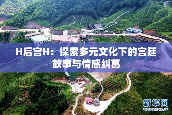 H后宫H：探索多元文化下的宫廷故事与情感纠葛