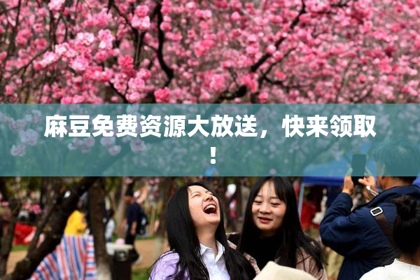 麻豆免费资源大放送，快来领取！