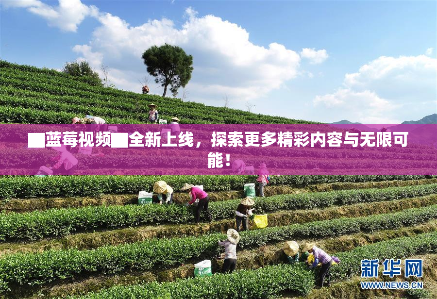▇蓝莓视频▇全新上线，探索更多精彩内容与无限可能！